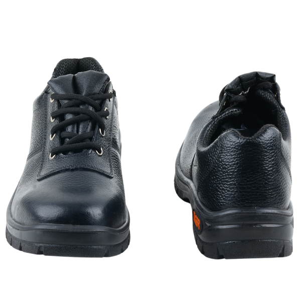 LOREX - Image 3